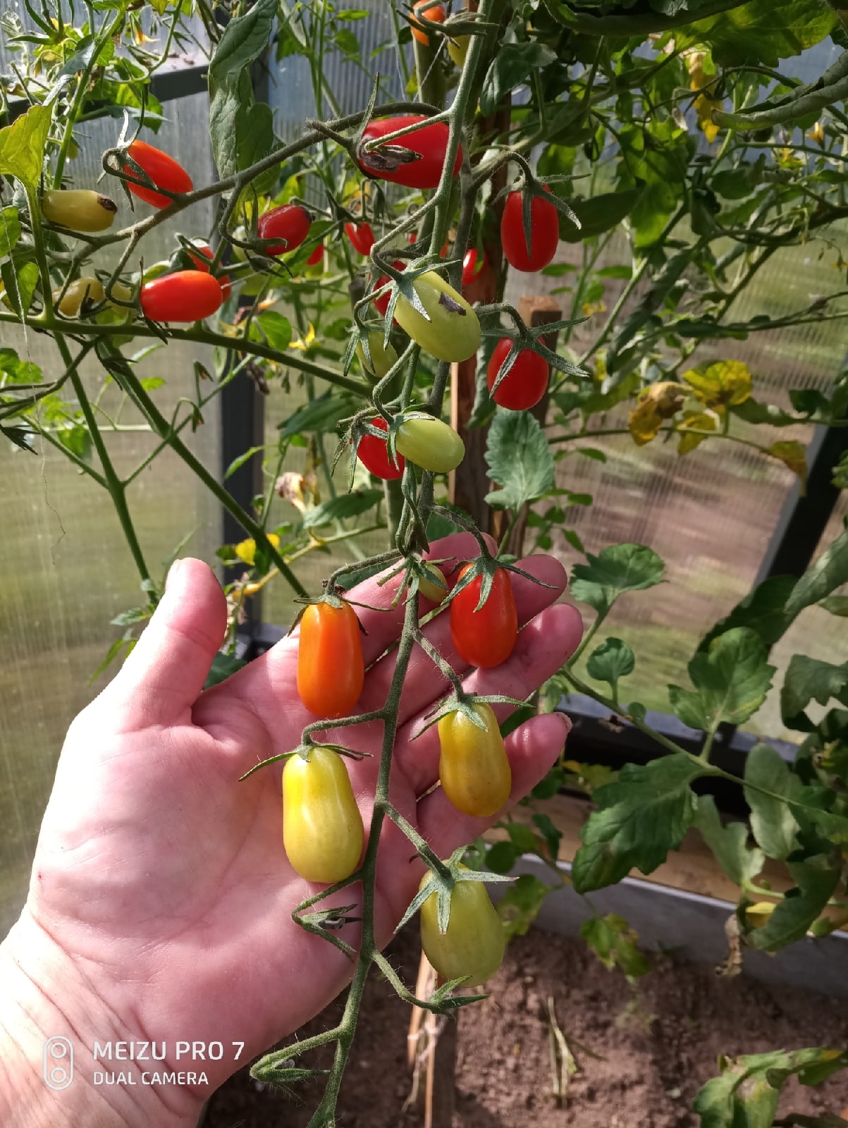 АГРОГРУППА В ДЕЙСТВИИ