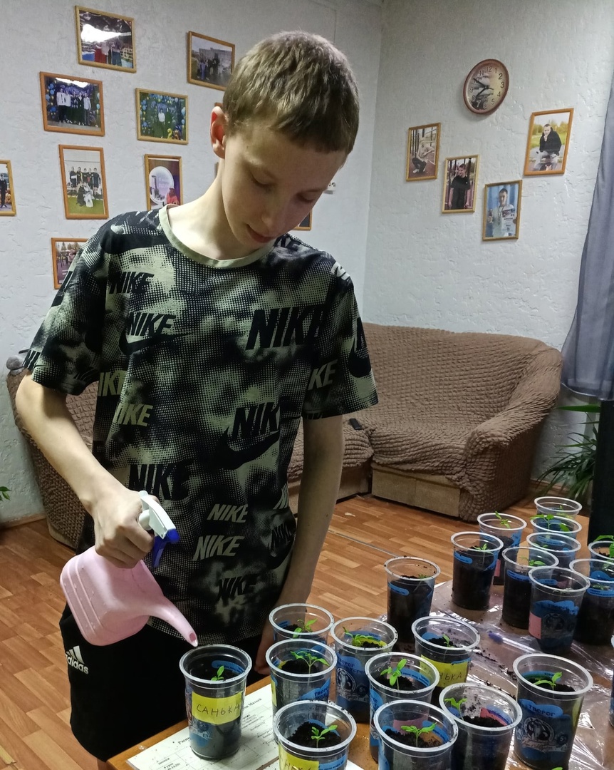 ПИКИРОВКА РАССАДЫ