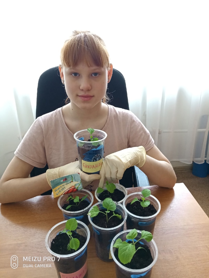 "УХАЖИВАЕМ ЗА РАССАДОЙ"