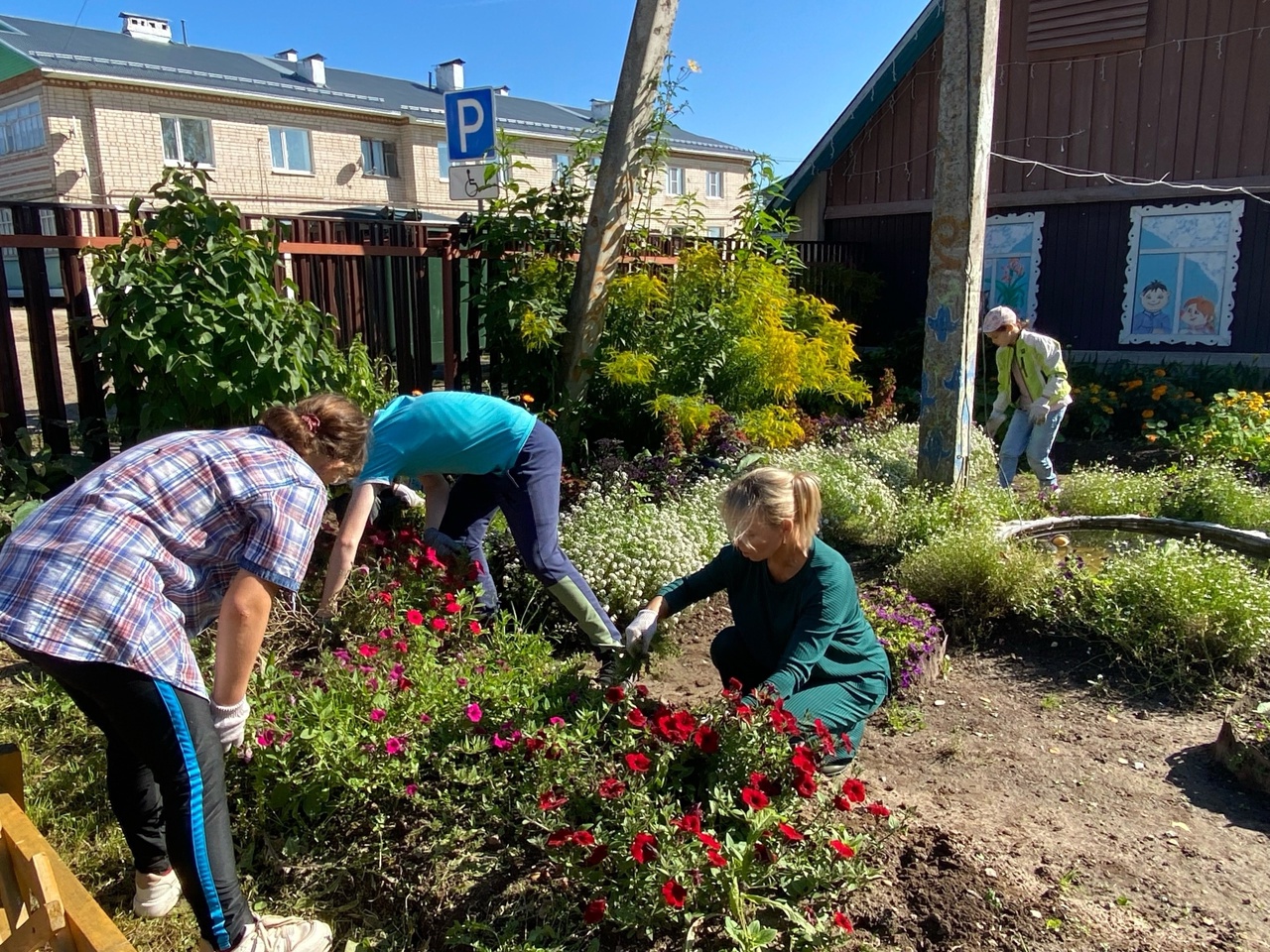 "Чистый двор"